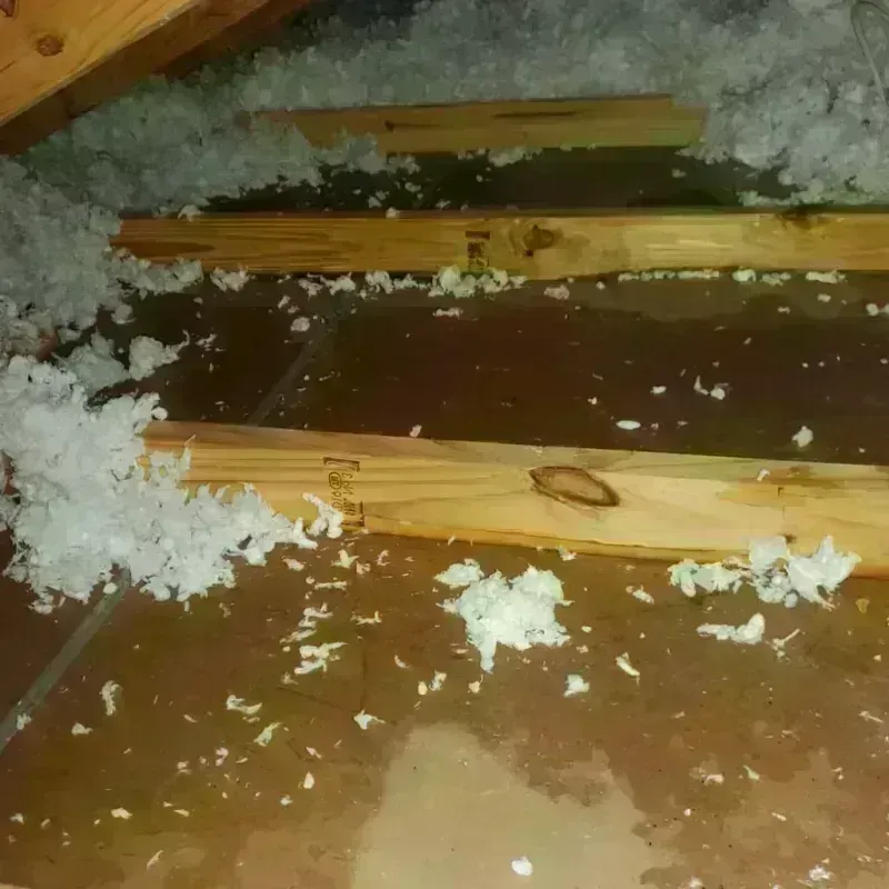 Attic Water Damage in Zeeland, MI