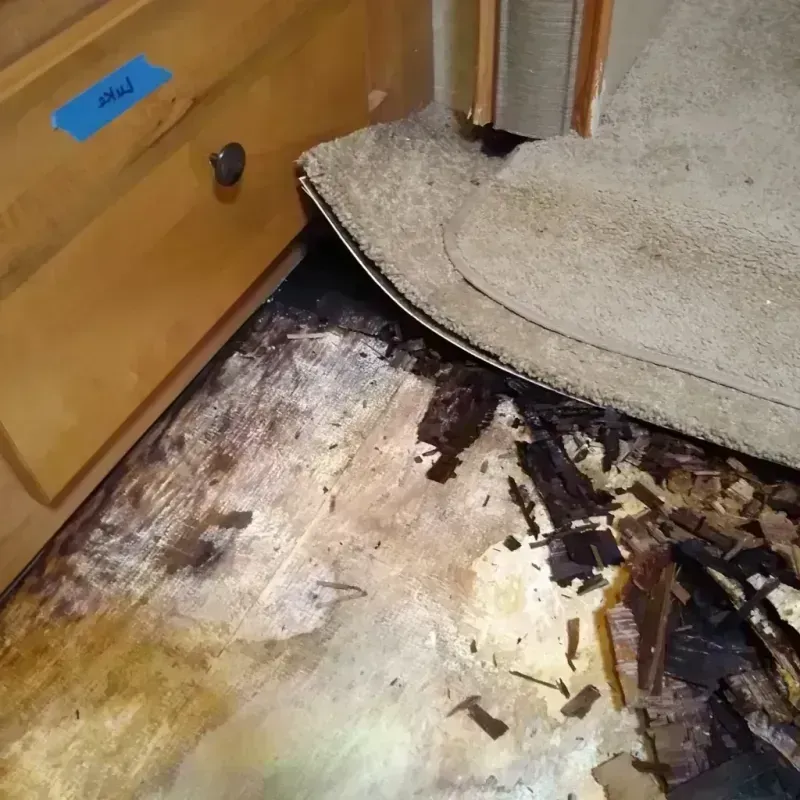 Wood Floor Water Damage in Zeeland, MI